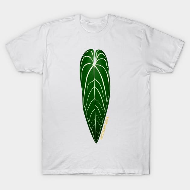 Anthurium warocqueanum | Houseplant Queen T-Shirt by csikarskie